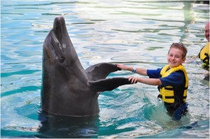 Дельфин и человек